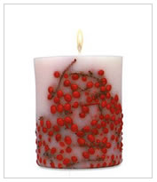 Acqua Di Parma Red Berries Fruit and Flower Candle